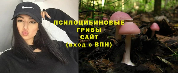 гашиш Богородицк