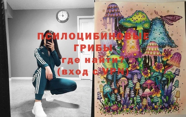 а пвп мука Богданович