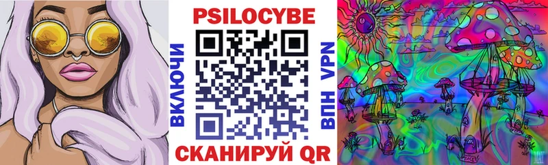 Псилоцибиновые грибы Cubensis Среднеуральск